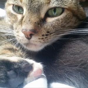 Meet your Posher, Lydia